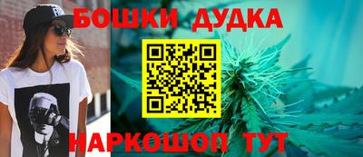 метадон Новодвинск