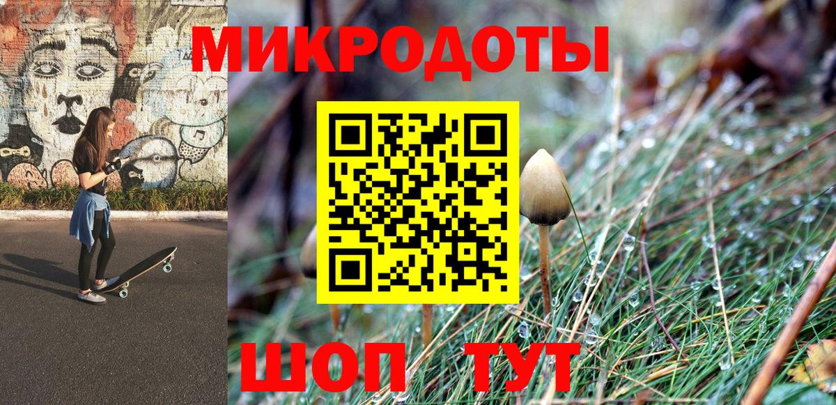 Псилоцибиновые грибы Psilocybine cubensis Ступино